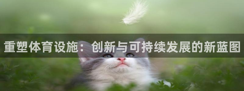 意昂4娱乐首页网站大全：重塑体育设施：创新与可持续发展的新蓝 