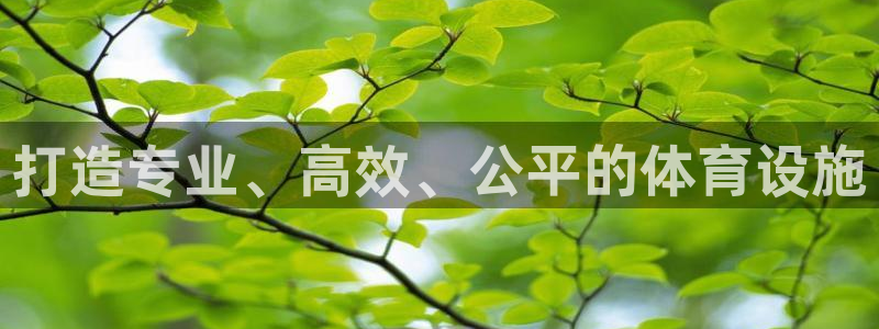 意昂体育4招商电话号码查询是多少：打造专业、高效、公平的体育 