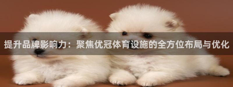 意昂体育4注册：提升品牌影响力：聚焦优冠体育设施的全方位布局