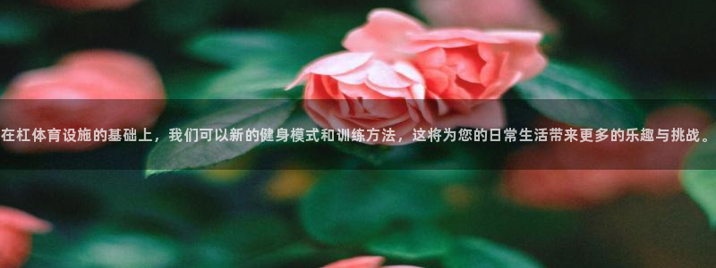 意昂4娱乐代理怎么样：在杠体育设施的基础上，我们可以新的健身