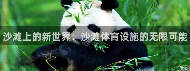 意昂4官网：沙滩上的新世界：沙滩体育设施的无限可能