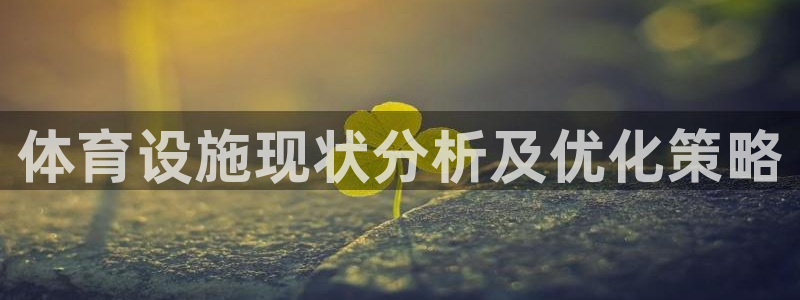 意昂4代理：体育设施现状分析及优化策略