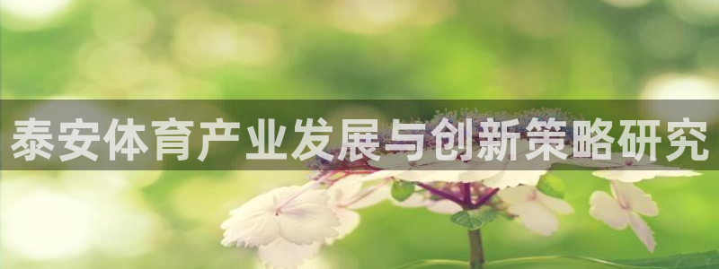 意昂体育4招商电话是多少啊：泰安体育产业发展与创新策