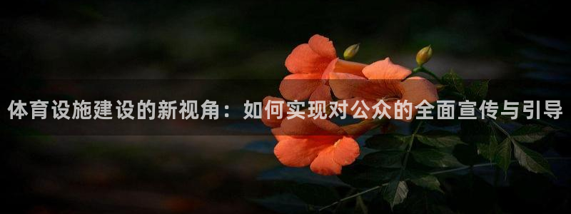 意昂体育4招商电话号码查询是多少：体育设施建设的新视