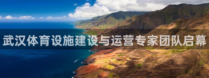 意昂体育4注册：武汉体育设施建设与运营专家团队启幕