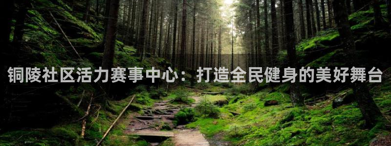 意昂4娱乐是那个系列的台子：铜陵社区活力赛事中心：打造全民健