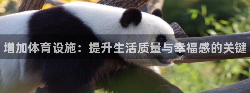 意昂4集团官网首页网址：增加体育设施：提升生活质量与