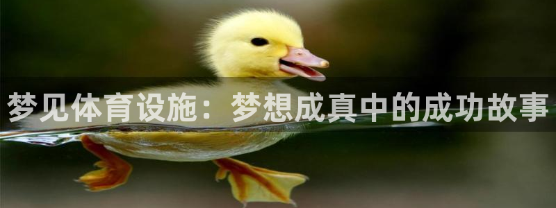 意昂体育4平台是正规平台吗：梦见体育设施：梦想成真中