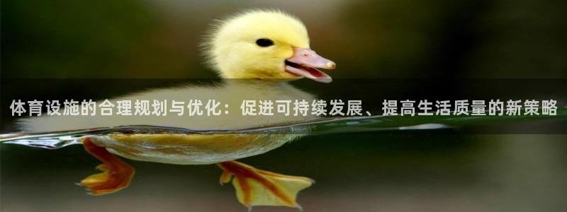 意昂体育4平台APP：体育设施的合理规划与优化：促进可持续发