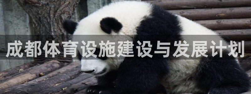 意昂体育4：成都体育设施建设与发展计划 
