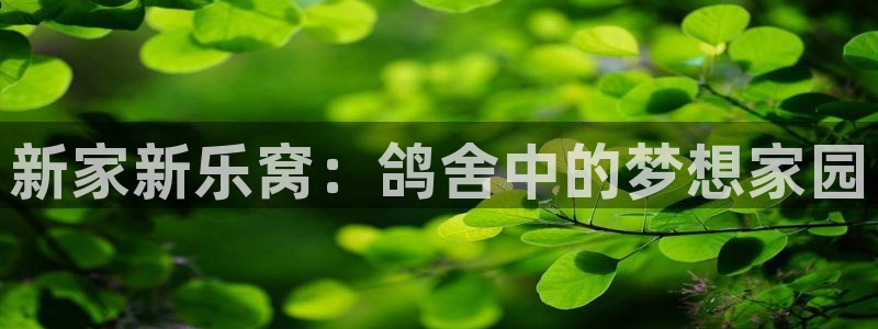 意昂体育4招商电话是多少号码