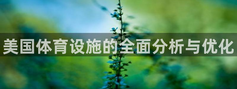 意昂体育4开户：美国体育设施的全面分析与优化