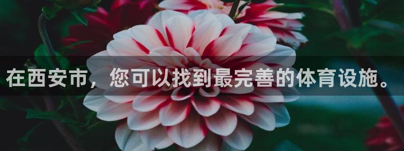 意昂体育4招商电话号码查询：在西安市，您可以找到最完