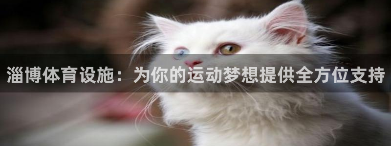 意昂体育4开户：淄博体育设施：为你的运动梦想提供全方位支持