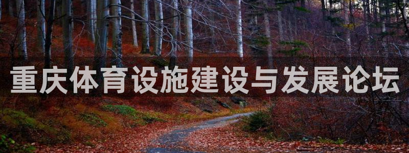 意昂4官网：重庆体育设施建设与发展论坛 
