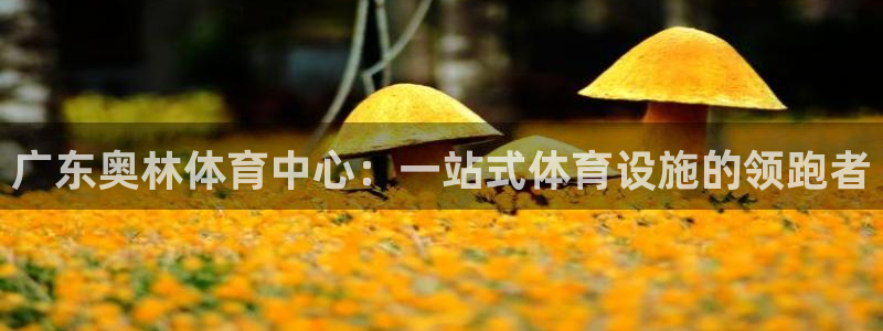 意昂体育4平台注册流程视频：广东奥林体育中心：一站式体育设施