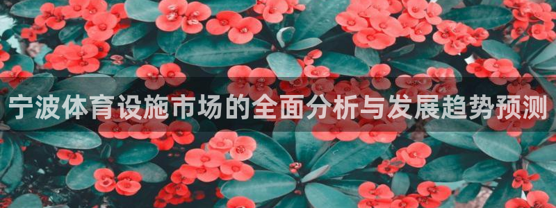 意昂体育4招商：宁波体育设施市场的全面分析与发展趋势