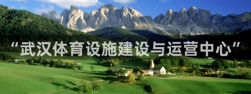 意昂4神州：“武汉体育设施建设与运营中心”