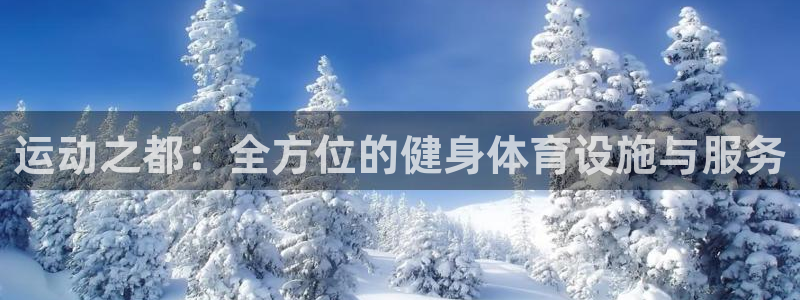 意昂4娱乐代理怎么样：运动之都：全方位的健身体育设施与服务