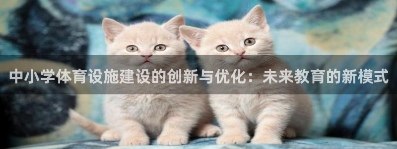 意昂体育4招商电话号码是多少号：中小学体育设施建设的创新与优