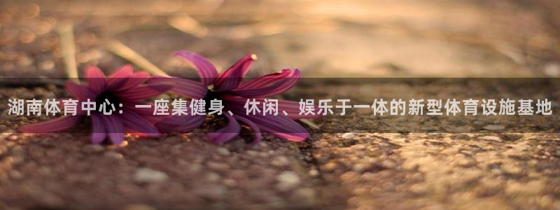 意昂4娱乐网站：湖南体育中心：一座集健身、休闲、娱乐于一体的