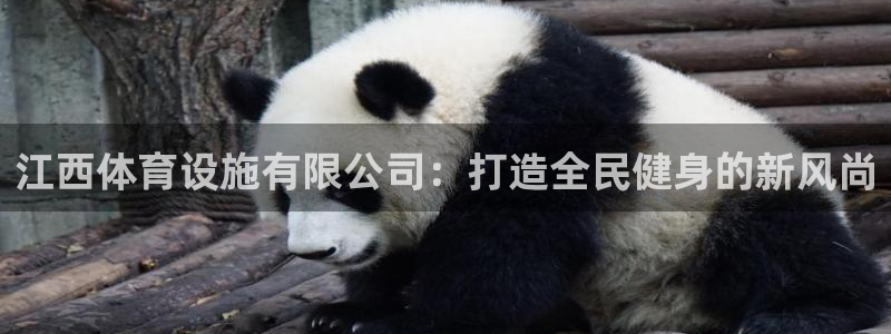 意昂体育4平台：江西体育设施有限公司：打造全民健身的新风尚