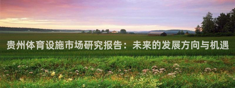 意昂体育4招商电话：贵州体育设施市场研究报告：未来的发展方向 