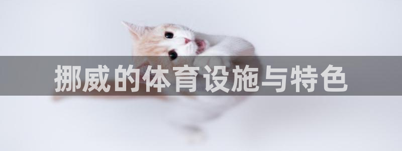 意昂体育4平台注册流程视频：挪威的体育设施与特色