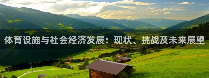 意昂4集团E.ON：体育设施与社会经济发展：现状、挑战及未来 