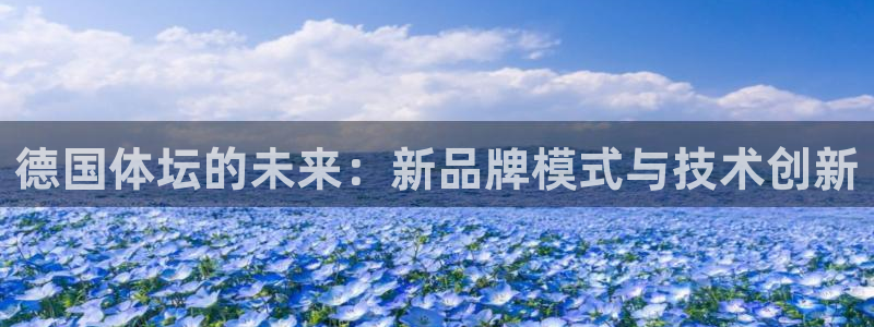 意昂4娱乐下载：德国体坛的未来：新品牌模式与技术创新