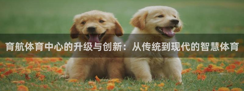 意昂体育4开户：育航体育中心的升级与创新：从传统到现