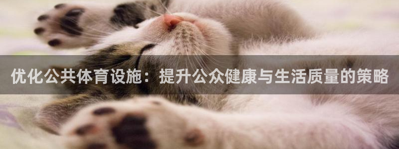 海南意昂体育4：优化公共体育设施：提升公众健康与生活
