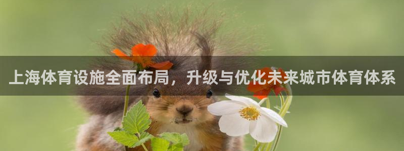 意昂体育4平台注册：上海体育设施全面布局，升级与优化