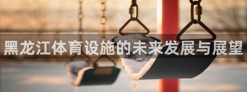 意昂体育4注册：黑龙江体育设施的未来发展与展望