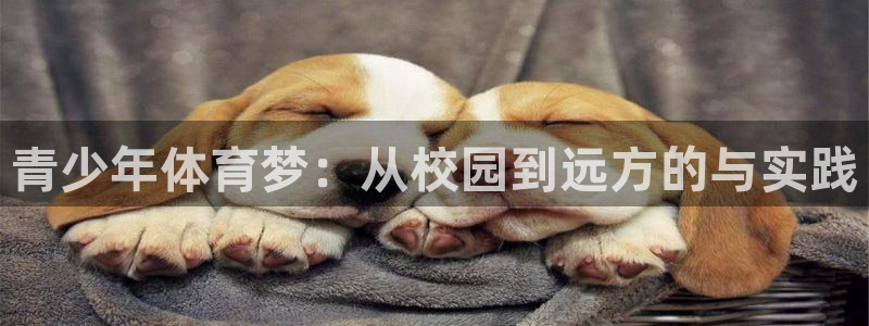 意昂体育4招商电话是多少号码：青少年体育梦：从校园到
