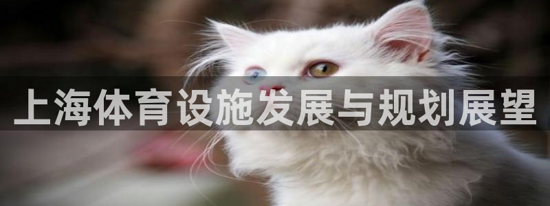 意昂4娱乐代理怎么样