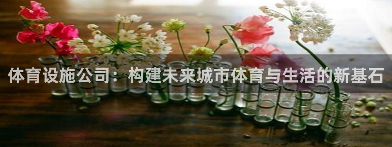 意昂体育4招商电话地址是多少：体育设施公司：构建未来城市体育
