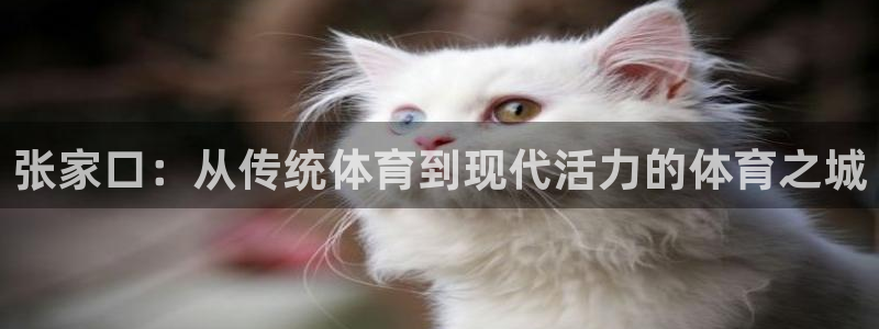 意昂体育4软件：张家口：从传统体育到现代活力的体育之