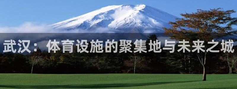 意昂4集团官网网址：武汉：体育设施的聚集地与未来之城
