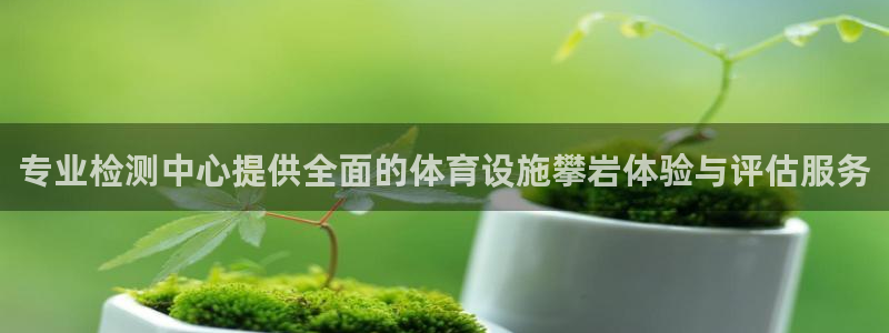 意昂平台体育：专业检测中心提供全面的体育设施攀岩体验与评估服