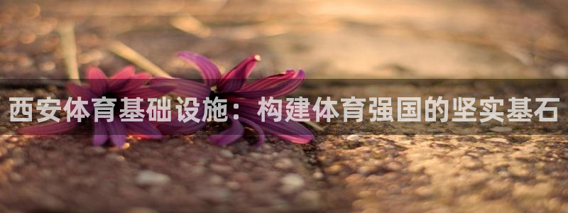意昂4集团简介