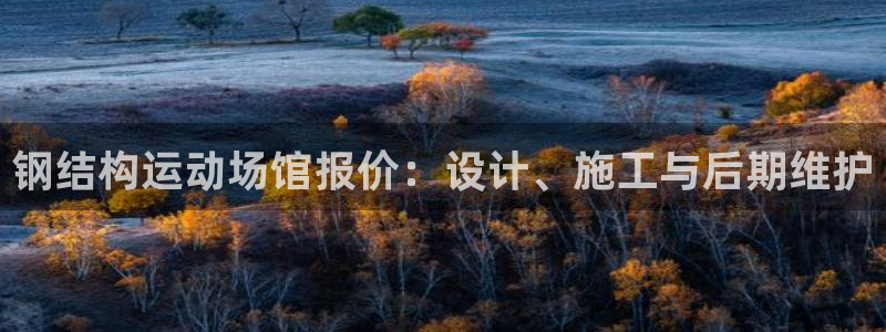 意昂4集团logo：钢结构运动场馆报价：设计、施工与后期维护