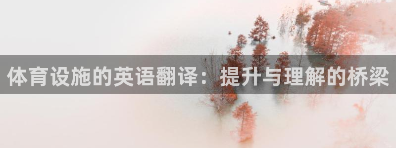 海南意昂体育4：体育设施的英语翻译：提升与理解的桥梁