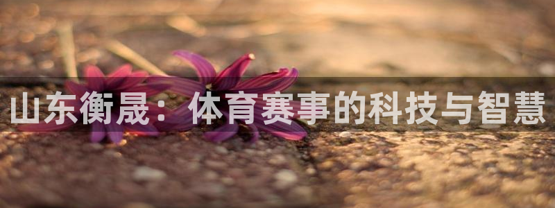 意昂集团官网：山东衡晟：体育赛事的科技与智慧
